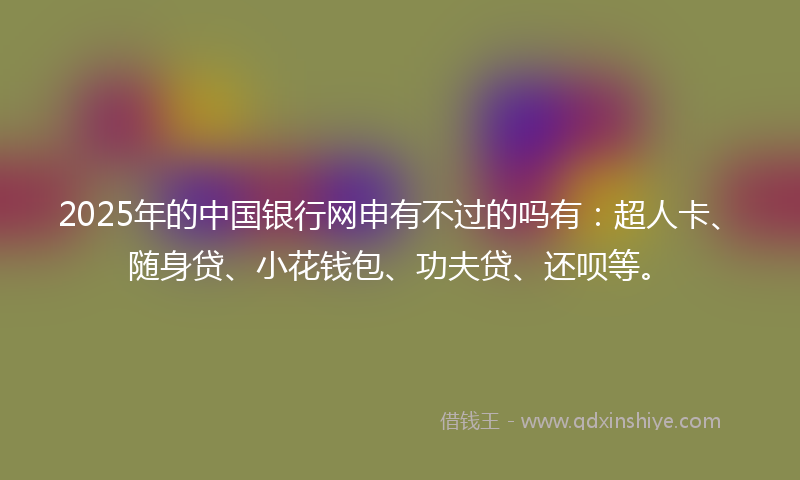 2025年的中国银行网申有不过的吗有：超人卡、随身贷、小花钱包、功夫贷、还呗等。
