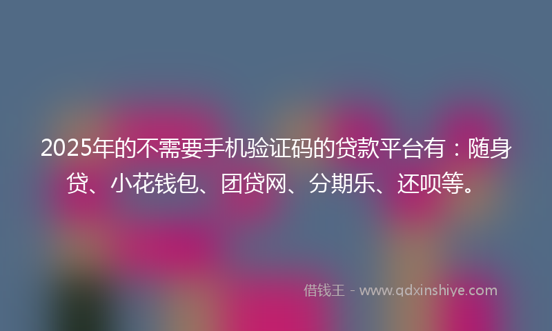 2025年的不需要手机验证码的贷款平台有：随身贷、小花钱包、团贷网、分期乐、还呗等。