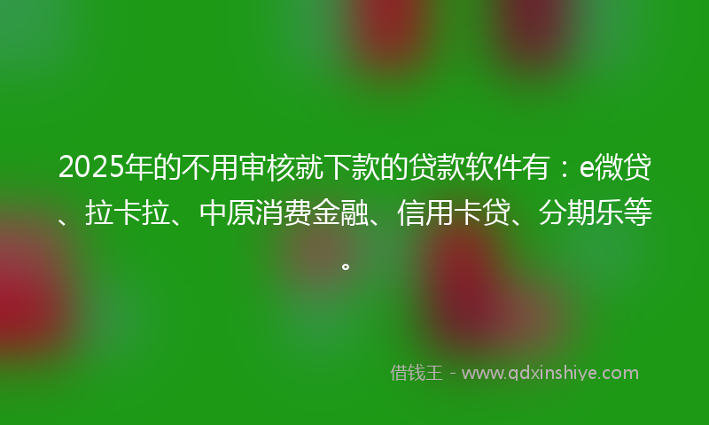 2025年的不用审核就下款的贷款软件有：e微贷、拉卡拉、中原消费金融、信用卡贷、分期乐等。