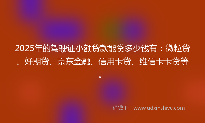 2025年的驾驶证小额贷款能贷多少钱有：微粒贷、好期贷、京东金融、信用卡贷、维信卡卡贷等。