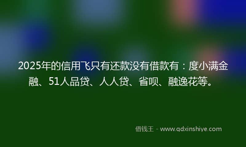 2025年的信用飞只有还款没有借款有：度小满金融、51人品贷、人人贷、省呗、融逸花等。