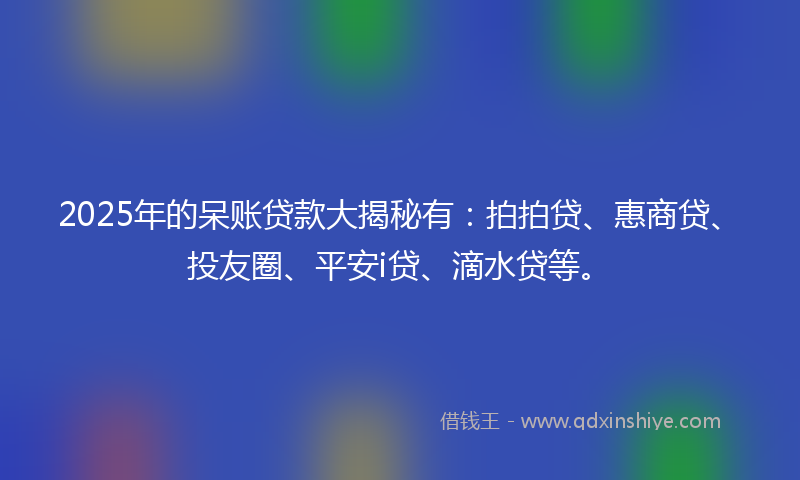 2025年的呆账贷款大揭秘有：拍拍贷、惠商贷、投友圈、平安i贷、滴水贷等。