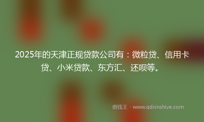 2025年的天津正规贷款公司有：微粒贷、信用卡贷、小米贷款、东方汇、还呗等。