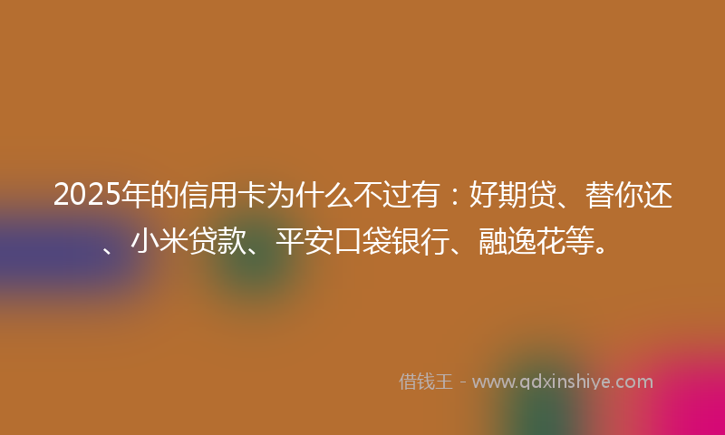 2025年的信用卡为什么不过有：好期贷、替你还、小米贷款、平安口袋银行、融逸花等。