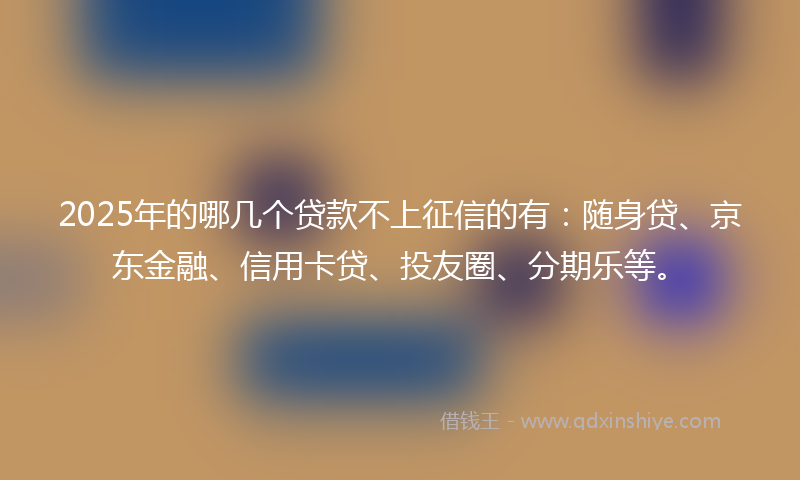 2025年的哪几个贷款不上征信的有：随身贷、京东金融、信用卡贷、投友圈、分期乐等。