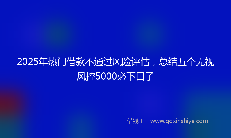 2025年热门借款不通过风险评估，总结五个无视风控5000必下口子