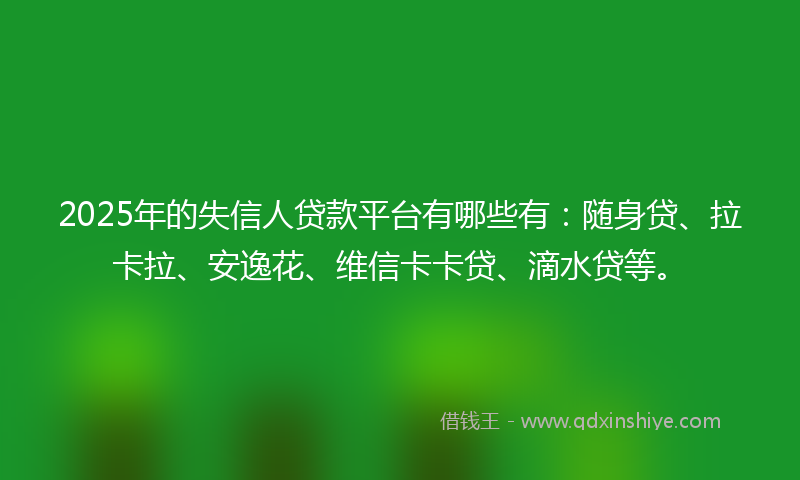 2025年的失信人贷款平台有哪些有：随身贷、拉卡拉、安逸花、维信卡卡贷、滴水贷等。