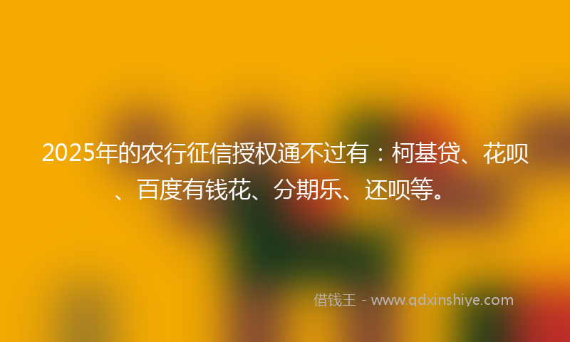 2025年的农行征信授权通不过有：柯基贷、花呗、百度有钱花、分期乐、还呗等。