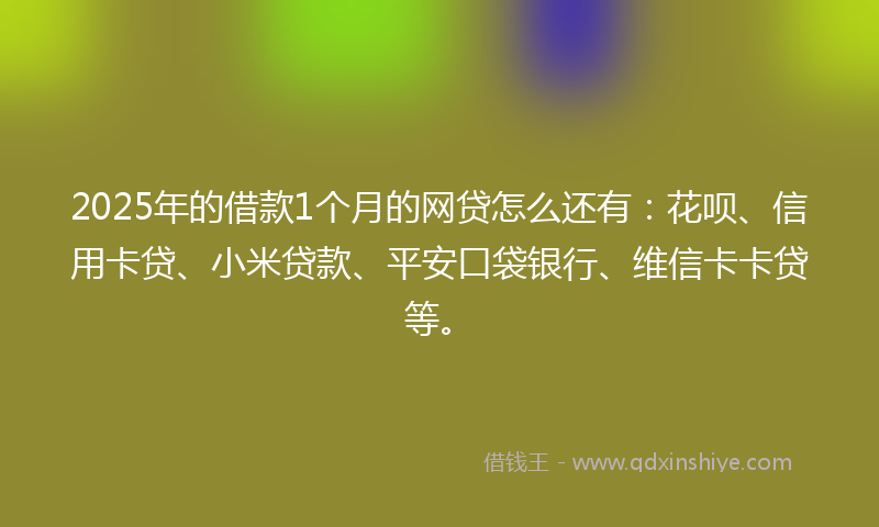 2025年的借款1个月的网贷怎么还有：花呗、信用卡贷、小米贷款、平安口袋银行、维信卡卡贷等。