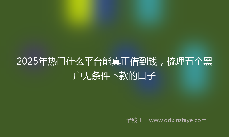 2025年热门什么平台能真正借到钱，梳理五个黑户无条件下款的口子