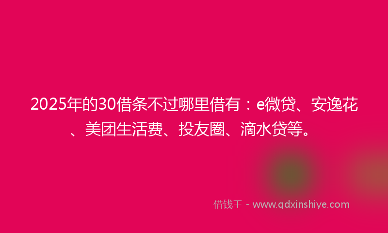 2025年的30借条不过哪里借有：e微贷、安逸花、美团生活费、投友圈、滴水贷等。