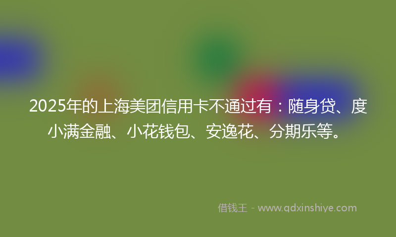 2025年的上海美团信用卡不通过有：随身贷、度小满金融、小花钱包、安逸花、分期乐等。