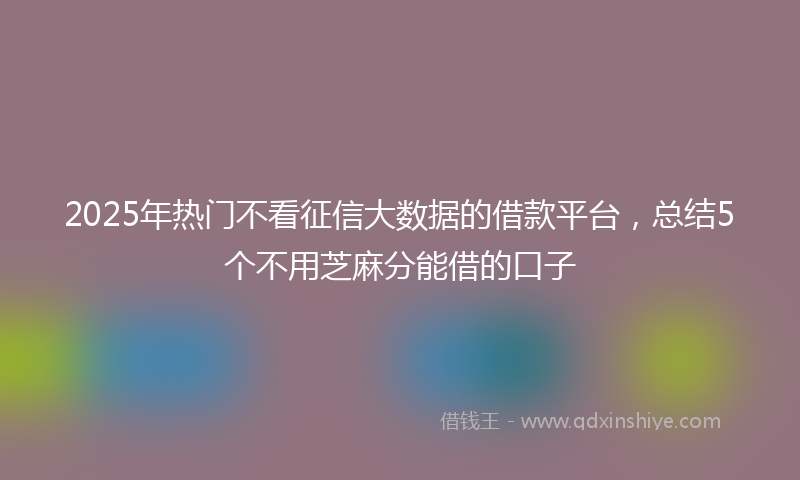 2025年热门不看征信大数据的借款平台，总结5个不用芝麻分能借的口子