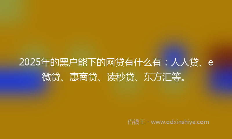 2025年的黑户能下的网贷有什么有：人人贷、e微贷、惠商贷、读秒贷、东方汇等。