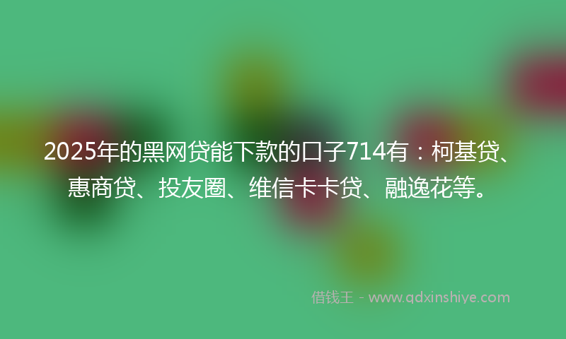 2025年的黑网贷能下款的口子714有：柯基贷、惠商贷、投友圈、维信卡卡贷、融逸花等。
