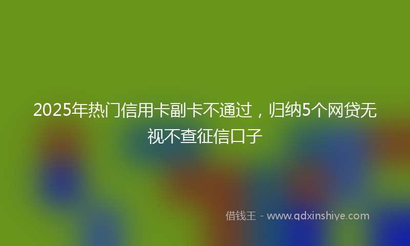 2025年热门信用卡副卡不通过，归纳5个网贷无视不查征信口子