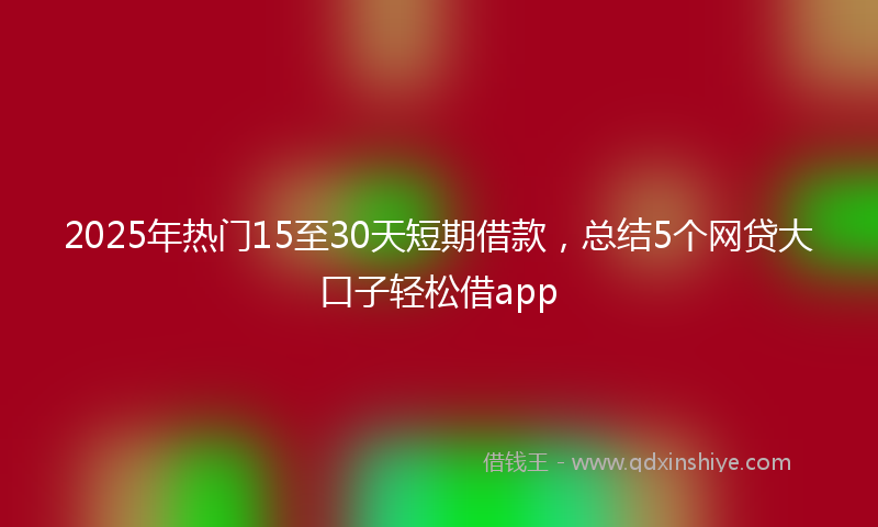2025年热门15至30天短期借款，总结5个网贷大口子轻松借app