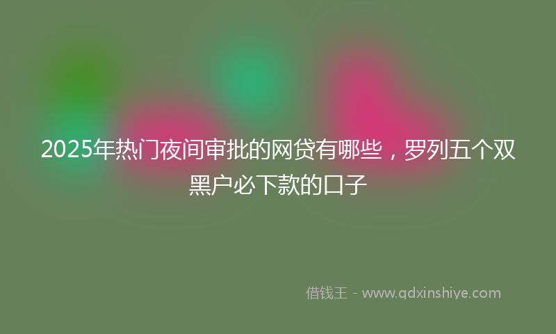 2025年热门夜间审批的网贷有哪些，罗列五个双黑户必下款的口子