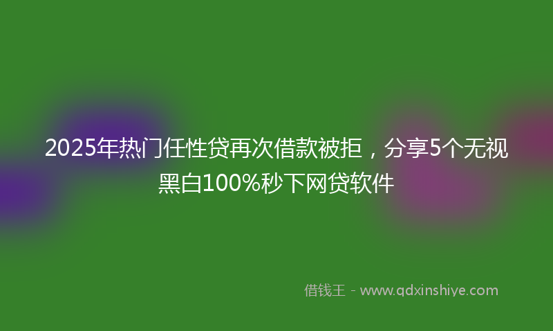2025年热门任性贷再次借款被拒，分享5个无视黑白100%秒下网贷软件