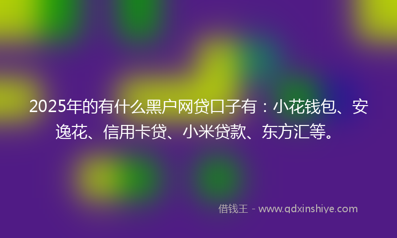 2025年的有什么黑户网贷口子有：小花钱包、安逸花、信用卡贷、小米贷款、东方汇等。