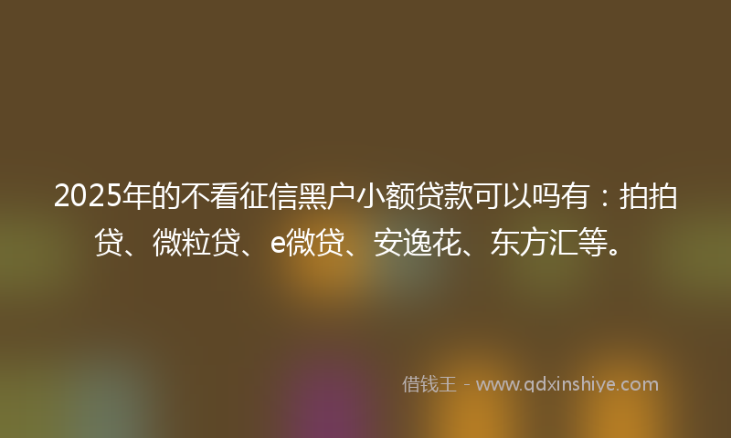 2025年的不看征信黑户小额贷款可以吗有：拍拍贷、微粒贷、e微贷、安逸花、东方汇等。