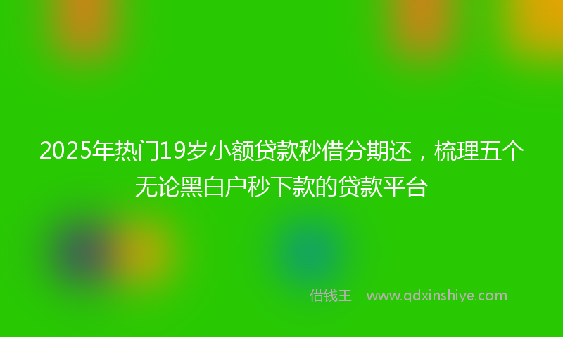 2025年热门19岁小额贷款秒借分期还，梳理五个无论黑白户秒下款的贷款平台