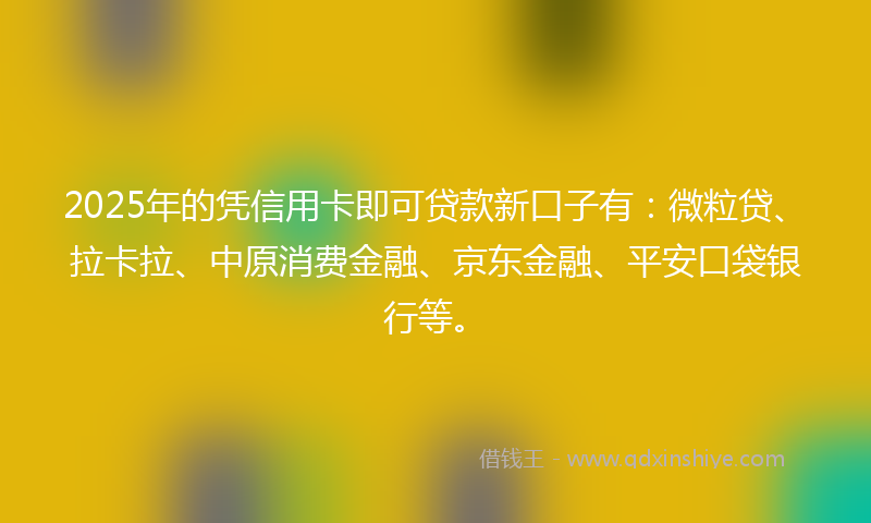 2025年的凭信用卡即可贷款新口子有：微粒贷、拉卡拉、中原消费金融、京东金融、平安口袋银行等。