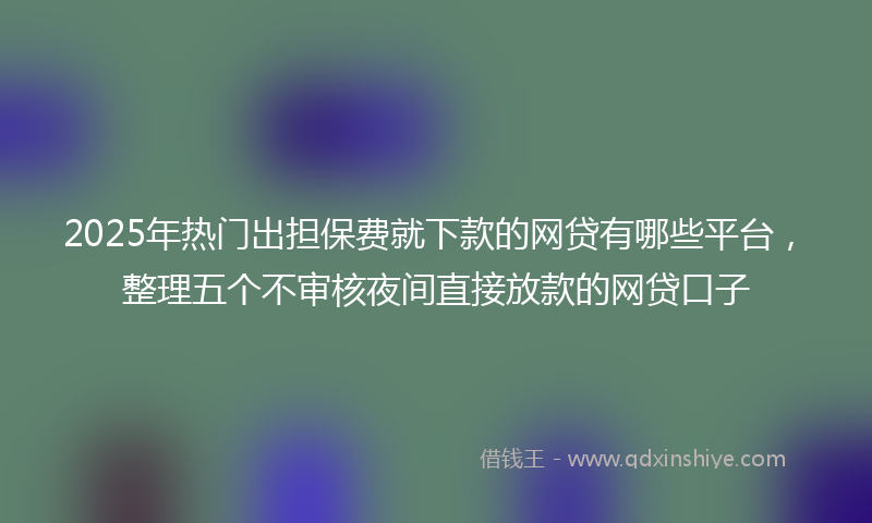 2025年热门出担保费就下款的网贷有哪些平台，整理五个不审核夜间直接放款的网贷口子