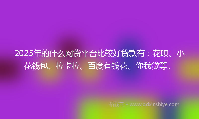2025年的什么网贷平台比较好贷款有：花呗、小花钱包、拉卡拉、百度有钱花、你我贷等。