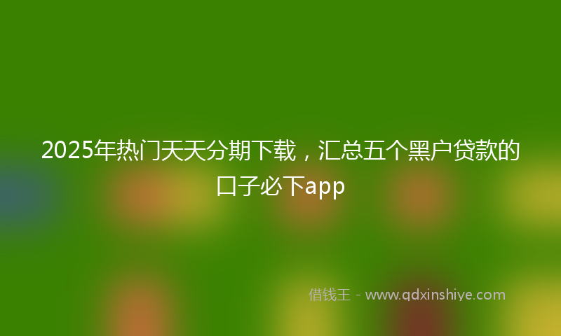 2025年热门天天分期下载，汇总五个黑户贷款的口子必下app