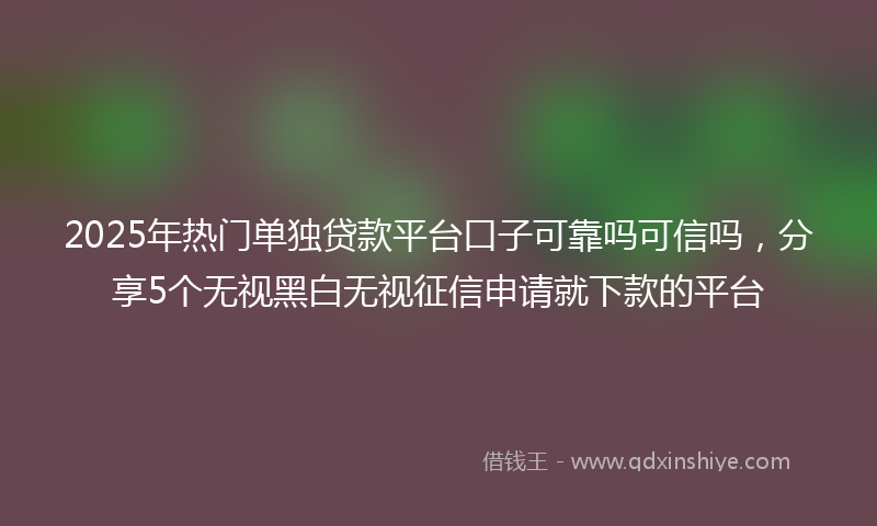 2025年热门单独贷款平台口子可靠吗可信吗，分享5个无视黑白无视征信申请就下款的平台
