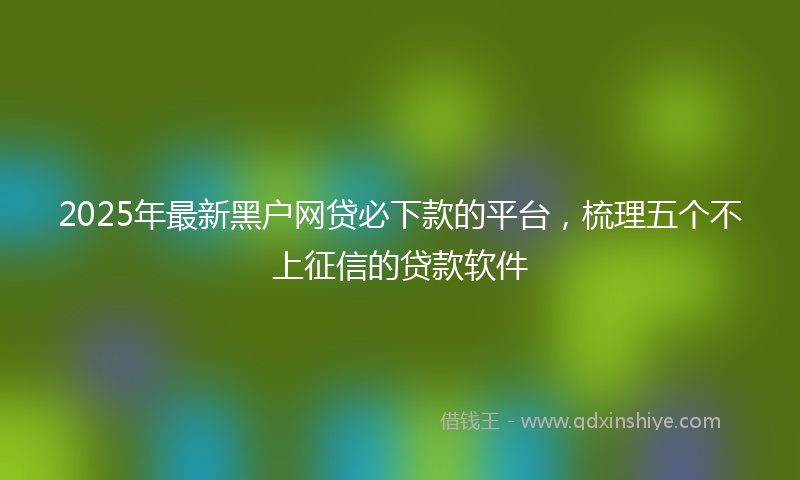 2025年最新黑户网贷必下款的平台，梳理五个不上征信的贷款软件