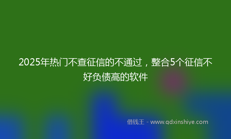 2025年热门不查征信的不通过，整合5个征信不好负债高的软件