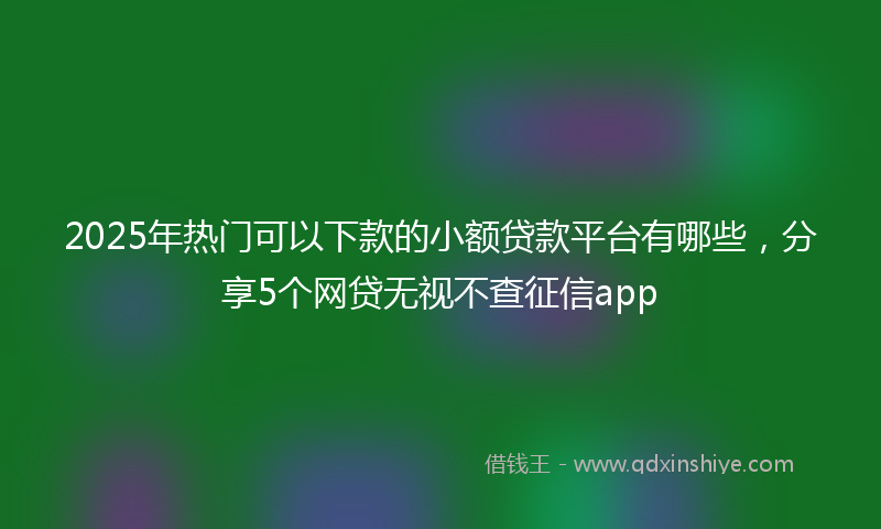 2025年热门可以下款的小额贷款平台有哪些，分享5个网贷无视不查征信app