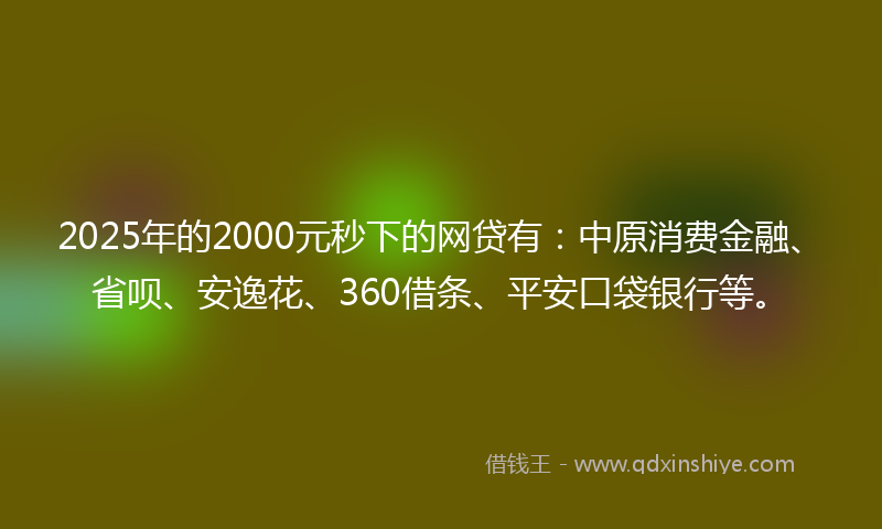 2025年的2000元秒下的网贷有：中原消费金融、省呗、安逸花、360借条、平安口袋银行等。