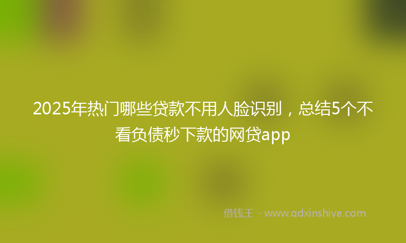 2025年热门哪些贷款不用人脸识别，总结5个不看负债秒下款的网贷app