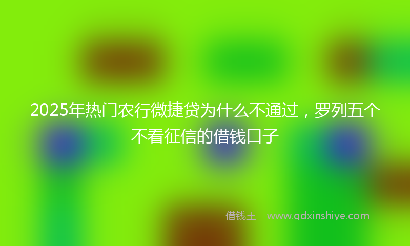 2025年热门农行微捷贷为什么不通过，罗列五个不看征信的借钱口子