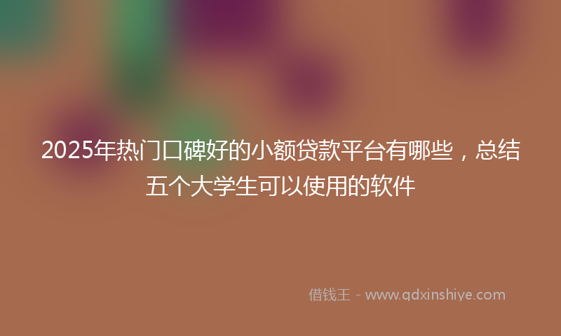 2025年热门口碑好的小额贷款平台有哪些，总结五个大学生可以使用的软件