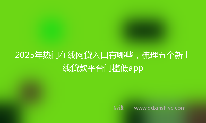 2025年热门在线网贷入口有哪些，梳理五个新上线贷款平台门槛低app