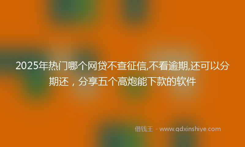 2025年热门哪个网贷不查征信,不看逾期,还可以分期还，分享五个高炮能下款的软件