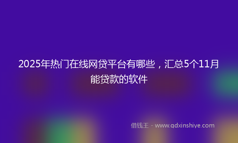 2025年热门在线网贷平台有哪些，汇总5个11月能贷款的软件