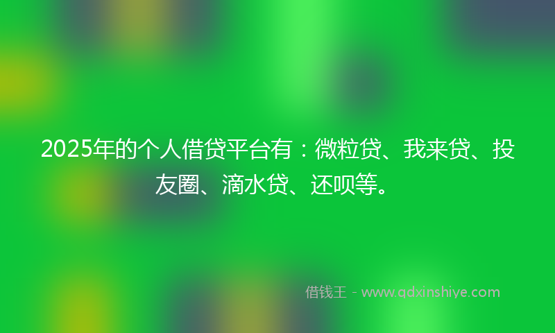 2025年的个人借贷平台有：微粒贷、我来贷、投友圈、滴水贷、还呗等。