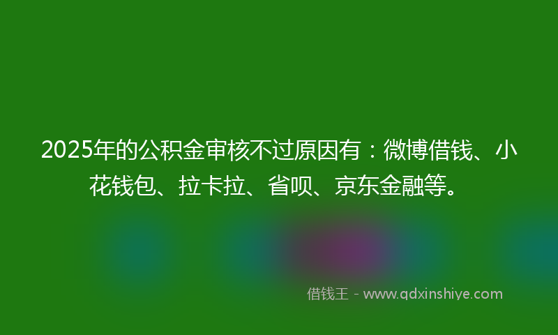 2025年的公积金审核不过原因有：微博借钱、小花钱包、拉卡拉、省呗、京东金融等。