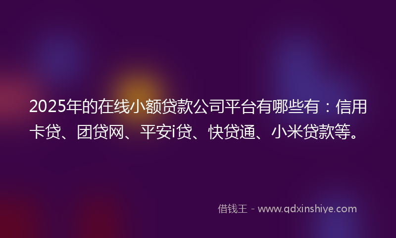2025年的在线小额贷款公司平台有哪些有：信用卡贷、团贷网、平安i贷、快贷通、小米贷款等。