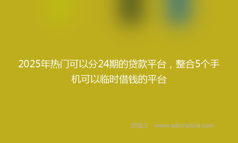 2025年热门可以分24期的贷款平台，整合5个手机可以临时借钱的平台