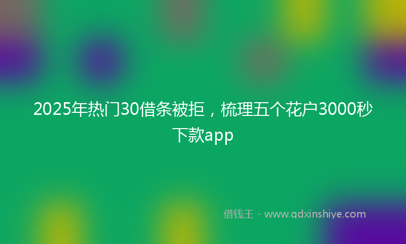 2025年热门30借条被拒，梳理五个花户3000秒下款app