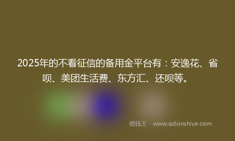 2025年的不看征信的备用金平台有：安逸花、省呗、美团生活费、东方汇、还呗等。