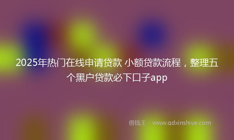 2025年热门在线申请贷款 小额贷款流程，整理五个黑户贷款必下口子app