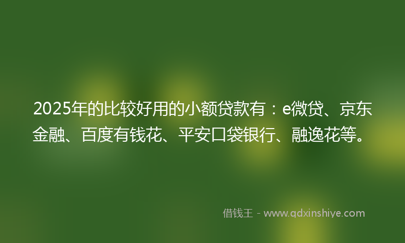 2025年的比较好用的小额贷款有：e微贷、京东金融、百度有钱花、平安口袋银行、融逸花等。