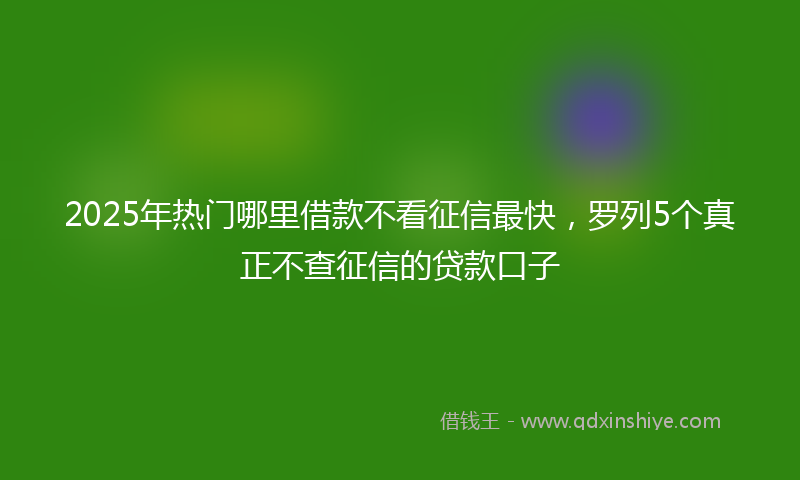 2025年热门哪里借款不看征信最快，罗列5个真正不查征信的贷款口子